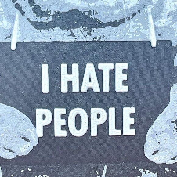 Wall Art, Funny Cat Mugshot, "I Hate People", Sassy Cat, Cat Attitude - Picture 3 of 10